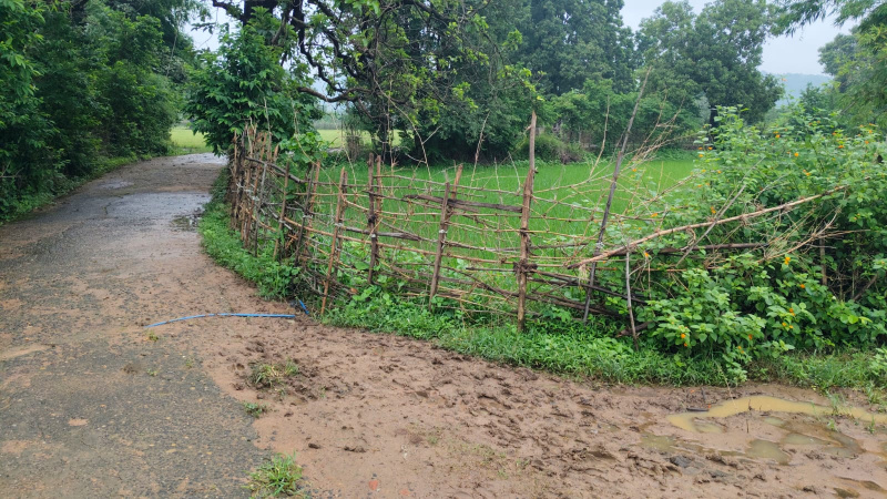 Agricultural/Farm Land For Sale In Bandhavgarh National Park, Umaria (1 Acre)