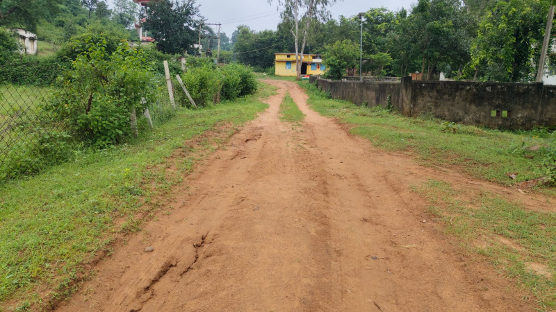 Commercial Lands /Inst. Land For Sale In Bandhavgarh National Park, Umaria (2 Acre)