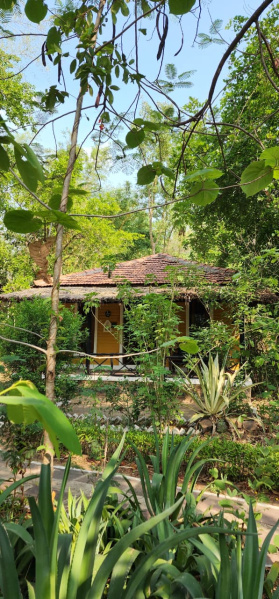 Hotel & Restaurant For Sale In Bandhavgarh National Park, Umaria (2 Acre)