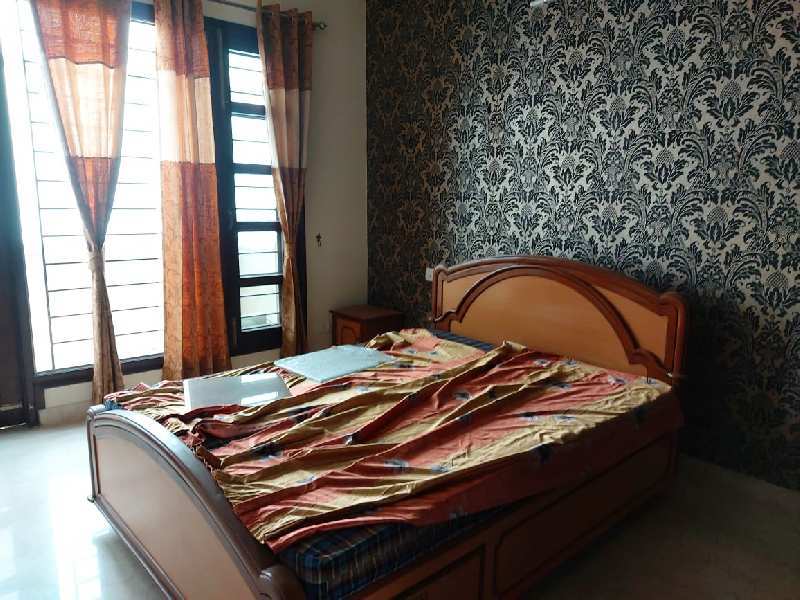 For rent 3bhk with modular, kitchen, drawing dinning, good lactation, sector 21 Chandigarh