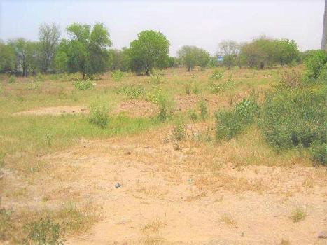 Agriculture Land For Ware House For Sell