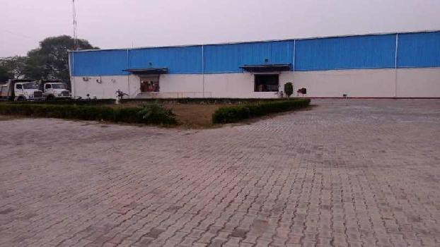 130000 Sq.ft. Warehouse/Godown for Rent in NH 8, Dharuhera