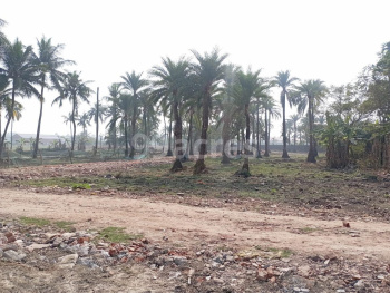 Property for sale in Khariberia, Kolkata