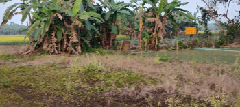 Property for sale in Omarhati, Kolkata