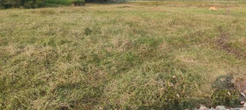 Property for sale in Khariberia, Kolkata