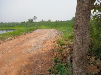 Property for sale in Shyamnagar, Kolkata