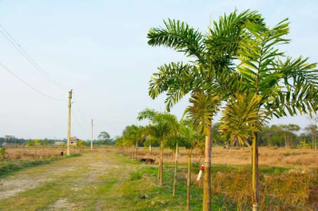 LAND FOR SALE IN JOKA NEAR SWAMINARAYAN MANDIR