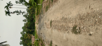 Residential Plot for Sale in Amtala, Kolkata (1800 Sq.ft.)