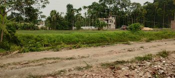 Property for sale in Amtala, Kolkata