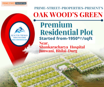 1292 Sq.ft. Residential Plot for Sale in Junwani Road, Durg
