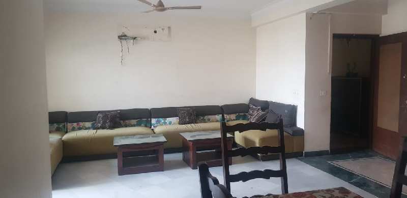 3 BHK Flats & Apartments for Rent in Tonk Road, Jaipur (2000 Sq.ft.)