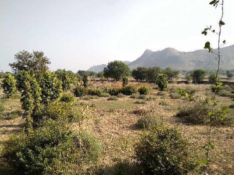 80000 Sq.ft. Agricultural/Farm Land for Rent in Delhi Road, Jaipur