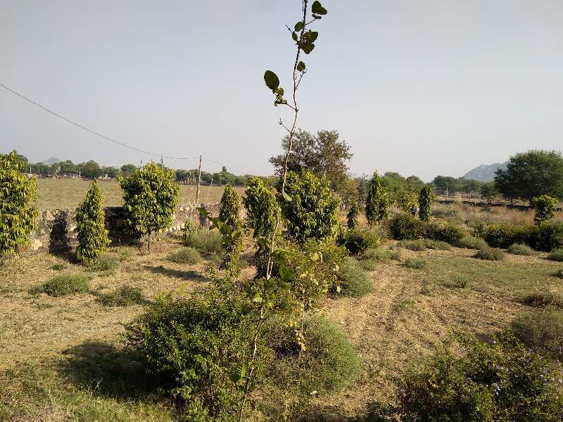 80000 Sq.ft. Agricultural/Farm Land for Rent in Delhi Road, Jaipur