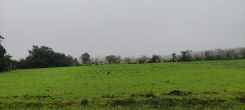 100 Acre Agricultural/Farm Land for Sale in Sawantwadi, Sindhudurg
