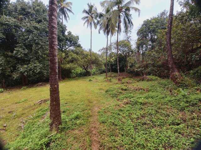 80000 Sq.ft. Residential Plot For Sale In Sawantwadi, Sindhudurg