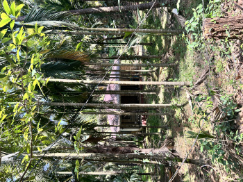 Property for sale in Kudal, Sindhudurg