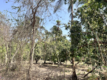 Property for sale in Malvan, Sindhudurg