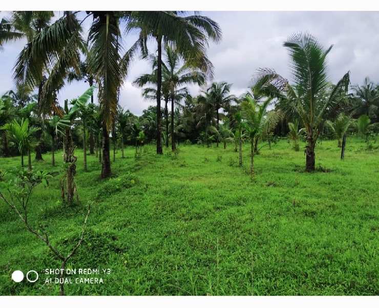9 Acre Residential Plot For Sale In Kudal, Sindhudurg