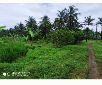 Property for sale in Kudal, Sindhudurg