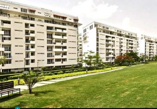 4 BHK Flats & Apartments for Sale in Sector 50, Gurgaon (2950 Sq.ft.)