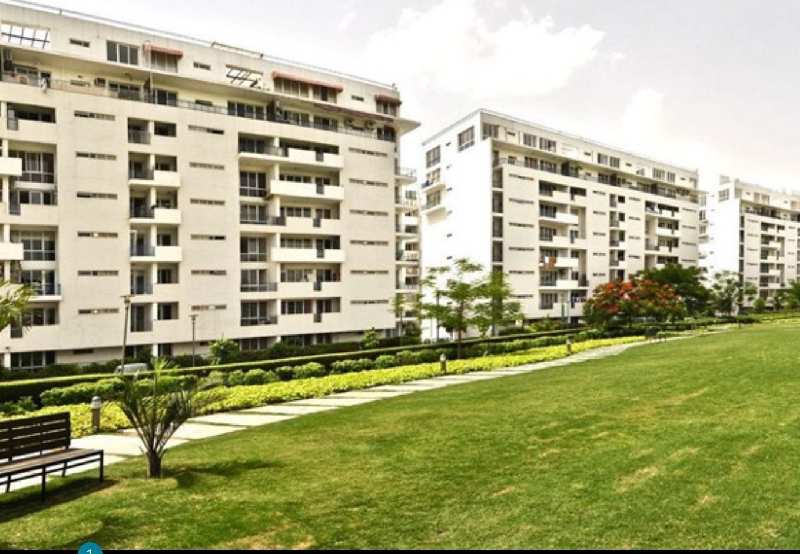 4 BHK Flats & Apartments for Sale in Sector 50, Gurgaon (2950 Sq.ft.)