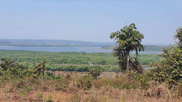 31000 Sq. Meter Residential Plot for Sale in Corcalim, Goa