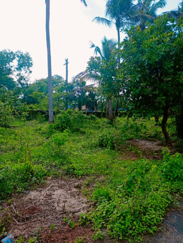 700 Sq. Meter Residential Plot for Sale in Sequeira Vaddo, Candolim, Goa