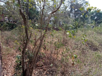 Plot for sale at Dhargal, North Goa