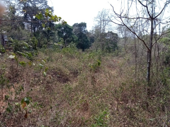 Property for sale in Pernem, Goa