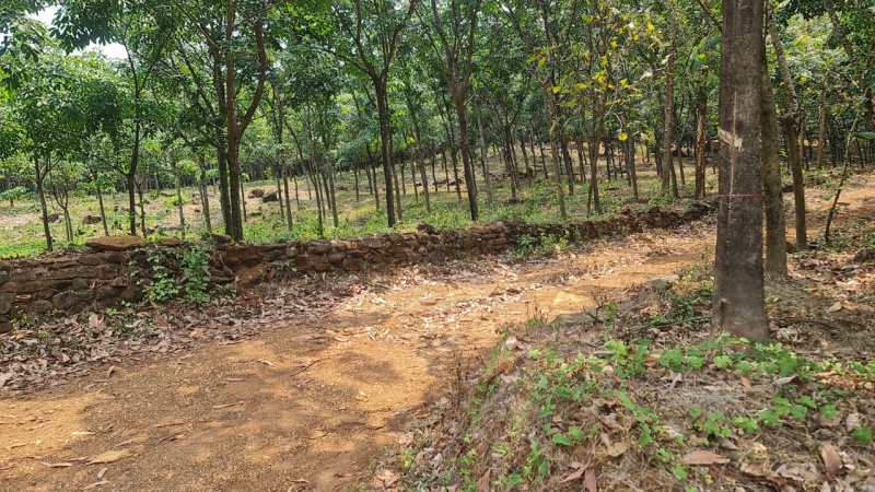 PLOT FOR SALE IN KUNDAL NORTH GOA