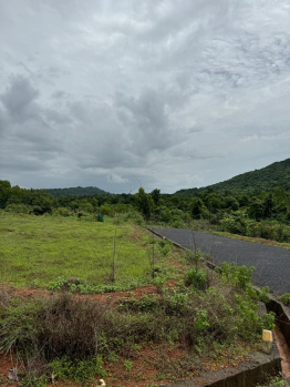 PLOTS FOR SALE AT PERNEM NORTH GOA