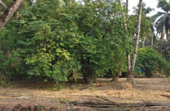 825 Sq. Meter Residential Plot for Sale in Tivim, North Goa, Goa