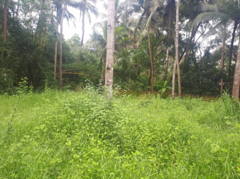 PLOT FOR SALE AT UCASSIAM NORTH GOA