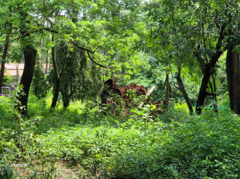 Property for sale in North Goa