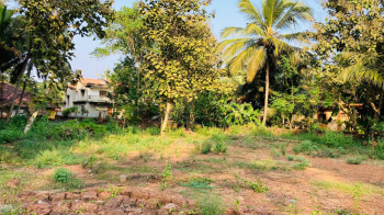 PLOT FOR SALE AT DAVORLIM SOUTH GOA