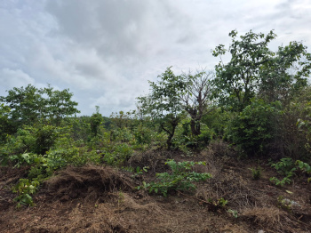 Clear Title Plot for sale at Salvador