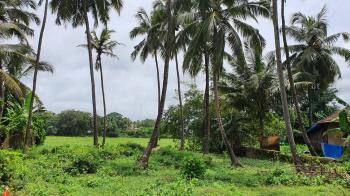 Field Touch Commercial plot for sale at Saligao North Goa