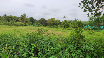 Property for sale in Saligao, Goa