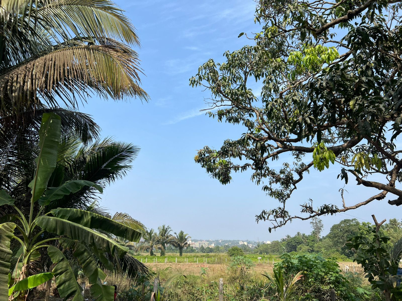 Clear title field view 485sqm  plot for sale at Guirim North Goa