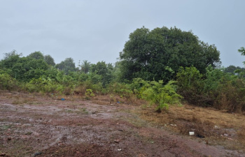 Property for sale in Cuncolim, Goa
