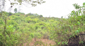 Property for sale in Cuncolim, Goa