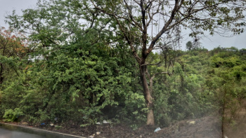 Property for sale in Cuncolim, Goa