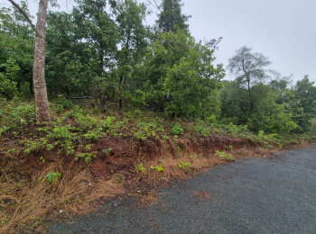 Property for sale in Cuncolim, Goa