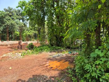 Property for sale in Socorro(Serula), Goa