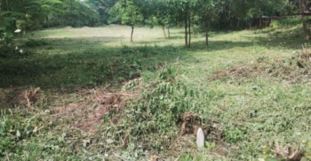 Prime 4600 SQM Plot for Sale in Ucassaim