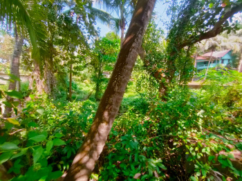 Plot for sale in Agonda South Goa