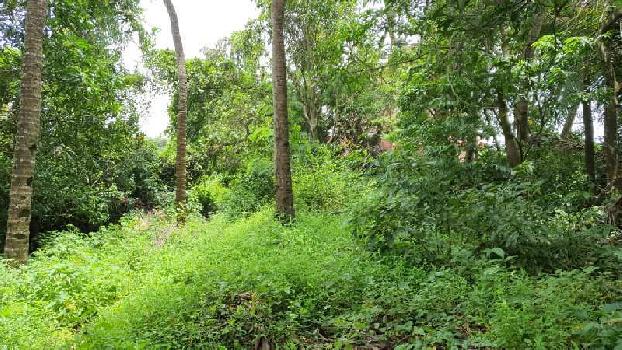 750SQM RESIDENTIAL FIELD VIEW PLOT FOR SALE AT SERAULIM