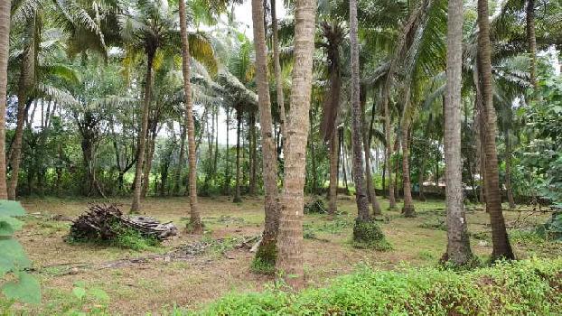 2450sqm plot for sale at velsao south goa with sanad