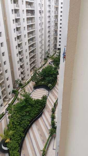 3 BHK Flats & Apartments for Rent in Jessore Road, Kolkata