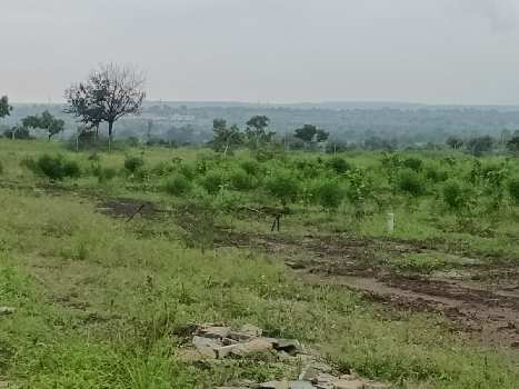 20 Guntha Agricultural/Farm Land for Sale in Zaheerabad, Hyderabad